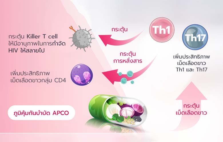 การเพิ่มขึ้นของ CD4 ความสำคัญกว่าการลดลงของจำนวน HIV